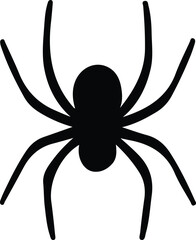 spider on a white background