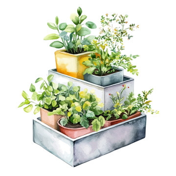 watercolor potted plants arrangement clip art preview