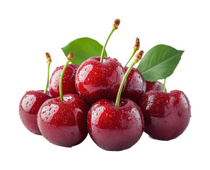Freshly harvested cherries orchard food isolated on transparent background