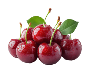 Freshly harvested cherries orchard food isolated on transparent background