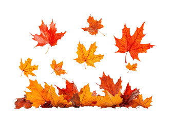 Autumn leaves falling natural scene botanical outdoors isolated on transparent background