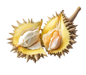 Obraz premium A yellow durian, cut in half and displayed on the right side of an isolated on Transparent Background and PNG