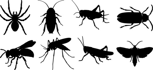 Collection of Insect Silhouettes Spider Cockroach Cricket Grasshopper Wasp Moth Beetle Bug Vector Graphics