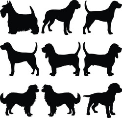 Collection of Dog Silhouettes Various Breeds Canine Pets Black Profiles Transparent Background