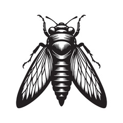 Noisy Cicada silhouette, nature’s orchestra conductor – Cicada illustration – Minimalist Cicada vector – Insect silhouette

