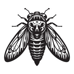 Buzzing Cicada silhouette, voice of the wild in heatwaves – Cicada illustration – Minimalist Cicada vector – Insect silhouette

