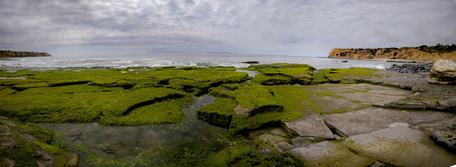 Panorama of Portuguese Bend's recent landslide activity, showing a raised moss covered sea shelf 