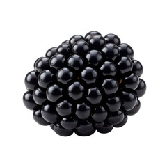 Blackberry: Exploring the Aggregate Fruit with Transparent Background