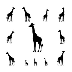 Set giraffe silhouettes isolated on white background