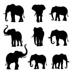 set of elephants