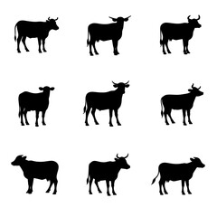 Set cow silhouettes isolated on white background