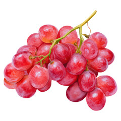 Fototapeta premium Fresh Red Grapes Cluster for Healthy Snack Ideas isolated on transparent background.