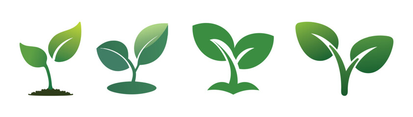 Sprout Illustrations for Growth, Nature, or Sustainability Design Projects