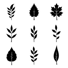 set of leaves