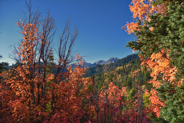 Box Elder Peak hiking views from trail, American Fork Canyon. Lone Peak, Mt Timpanogos, Wasatch...