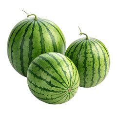 watermelon on white background