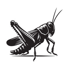 Sharp Locust silhouette, highlighting its powerful legs and wings – Locust illustration – Minimalist Locust vector – Insect silhouette

