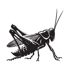 Aggressive Locust silhouette, built for speed and impact – Locust illustration – Minimalist Locust vector – Insect silhouette


