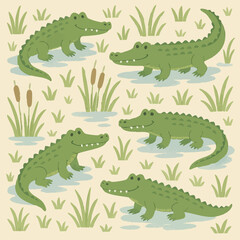 A group of large alligators are swimming together in a swamp