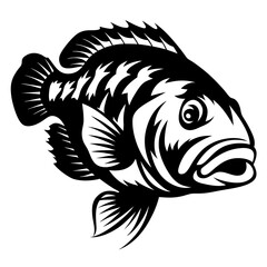 Detailed vector illustration of a black and white fish with open mouth