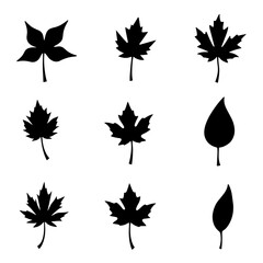 set of autumn leaves