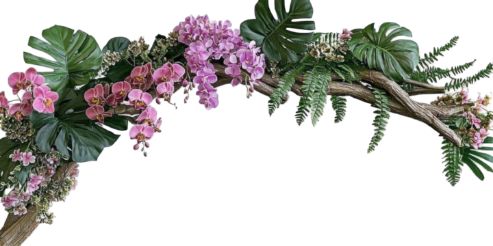 Tropical vibes plant  on a transparent background