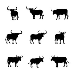 silhouettes of cows