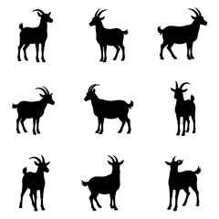 Set of different goats silhouettes isolated on white background