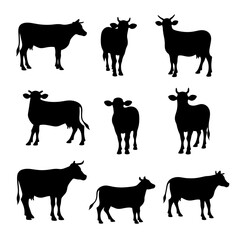 Set Cow silhouettes, Set of cow silhouettes in various poses. isolated vector on white background.