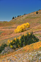 Box Elder Peak hiking views from trail, American Fork Canyon. Lone Peak, Mt Timpanogos, Wasatch...