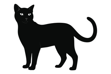 Beautiful cat vector silhouette black illustration 