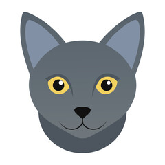 vector illustration of a cat 