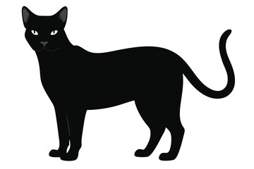 Beautiful cat vector silhouette black illustration 