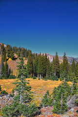 Box Elder Peak hiking views from trail, American Fork Canyon. Lone Peak, Mt Timpanogos, Wasatch...