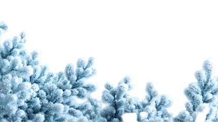 Snowy branches winter border.