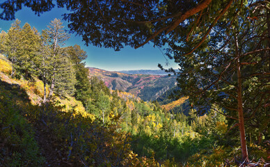 Box Elder Peak hiking views from trail, American Fork Canyon. Lone Peak, Mt Timpanogos, Wasatch...