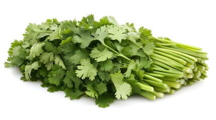 Fototapeta premium A bunch of fresh cilantro, vibrant green leaves and stems, isolated on a white background. Perfect for culinary and healthy lifestyle imagery.