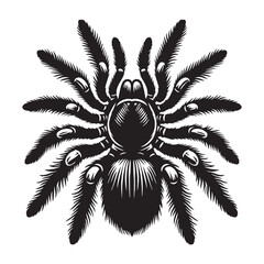 Fototapeta premium Resilient Spider silhouette, never giving up its territory – Spider illustration – Spider vector – Insect silhouette