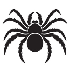 Mighty Spider silhouette, a creature of strength and stealth – Spider illustration – Spider vector – Insect silhouette

