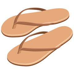 women flip flops, Pair of flip flops.