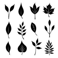 Fototapeta premium Set of silhouettes of various leaves 