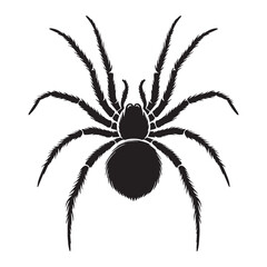 Eerie Spider silhouette, lurking in the shadows – Spider illustration – Spider vector – Insect silhouette


