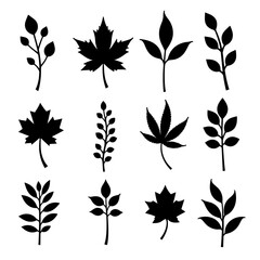 Set of silhouettes of various leaves