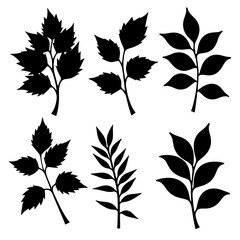 Fototapeta premium Set of autumn leaves, Set of leaves, Set of silhouettes of various leaves