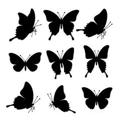 Set of vector butterflies, Collection of butterflies, Set butterfly silhouettes