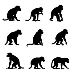 Set of monkey silhouette on white background
