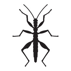 Mystical Stick Insect silhouette, a phantom of the forest – Stick Insect illustration – Stick Insect vector – Insect silhouette

