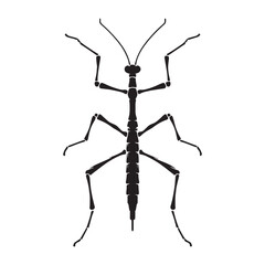 Camouflaged Stick Insect silhouette, blending perfectly with branches – Stick Insect illustration – Stick Insect vector – Insect silhouette

