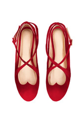 pair of red flatshoes