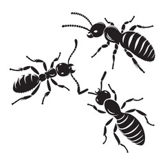 Invasive Termite silhouette, capable of causing massive damage – Termite illustration – Termite vector – Insect silhouette

